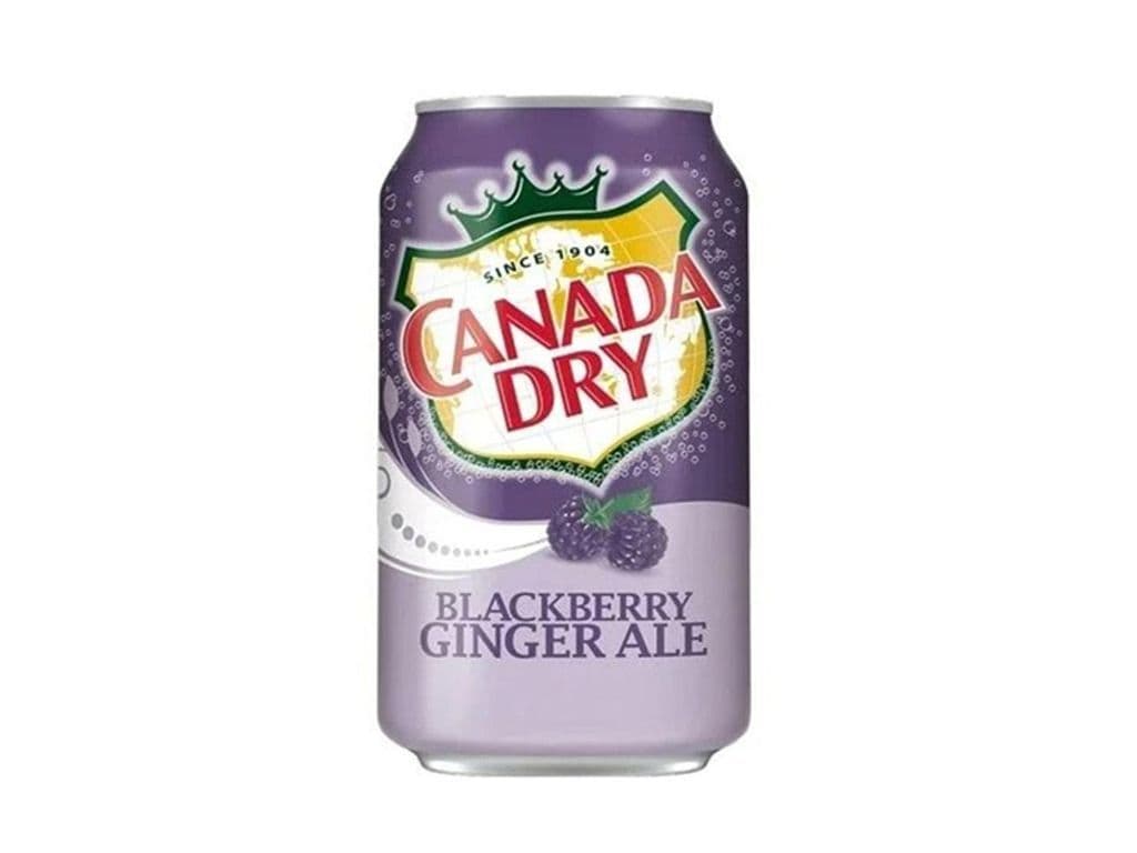 Canada Dry Blackberry Ginger Ale USA 355ml Can