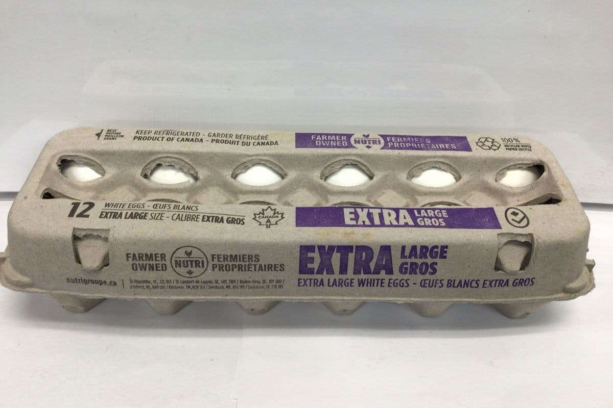 12 Oeufs Blanc Extra Gros / Extra Gros Large