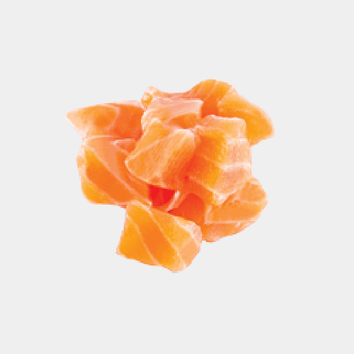 Salmon / Saumon