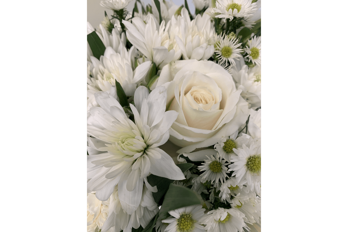 Classic White