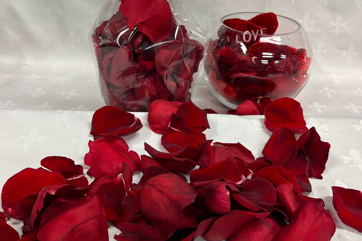 Rose Petals (Red, White, Mixed Colour)