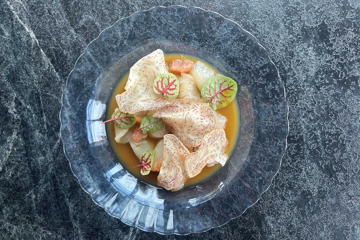 Scallop Crudo