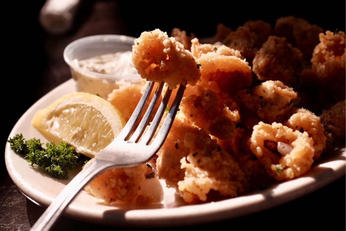 Calamari