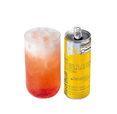 Tropical Dragon Fruit Infuzer with coconut