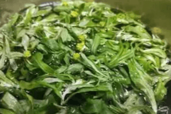 Vegetable