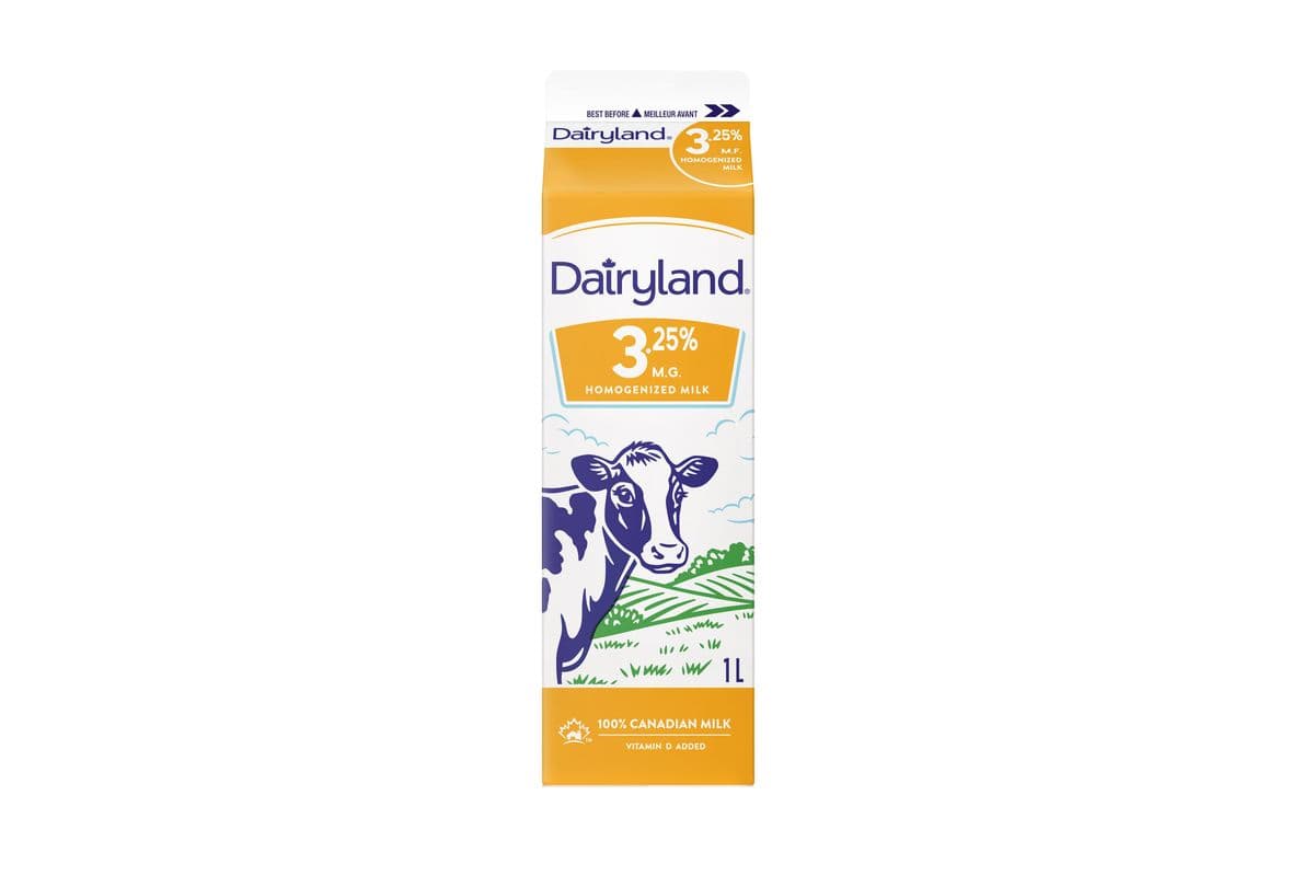 Dairyland Homo (1 L)
