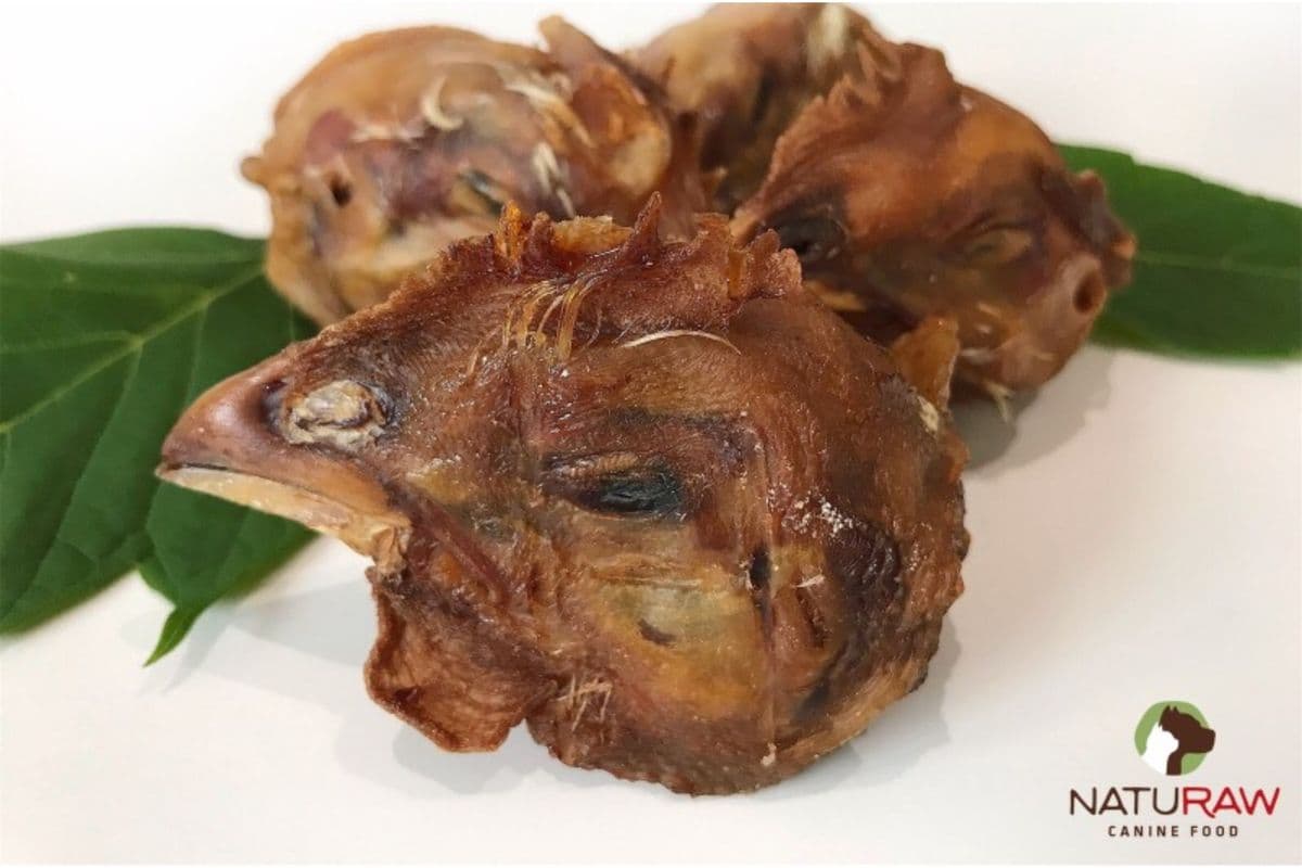 Dehydrated Chicken Heads (160 g – 200 g)
