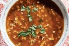 Hot-and-Sour Chicken Soup