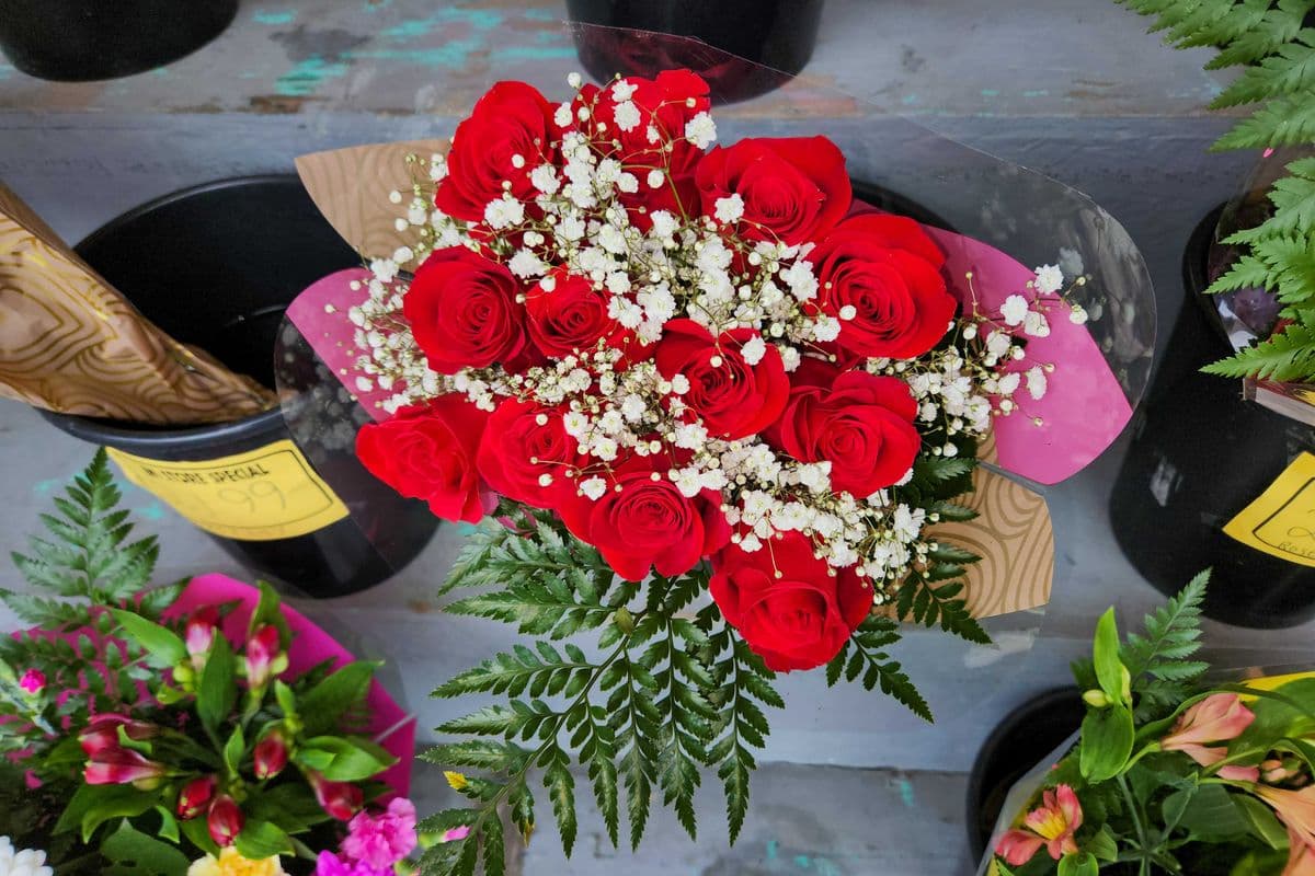 Dozen Red Roses (12 Stems)