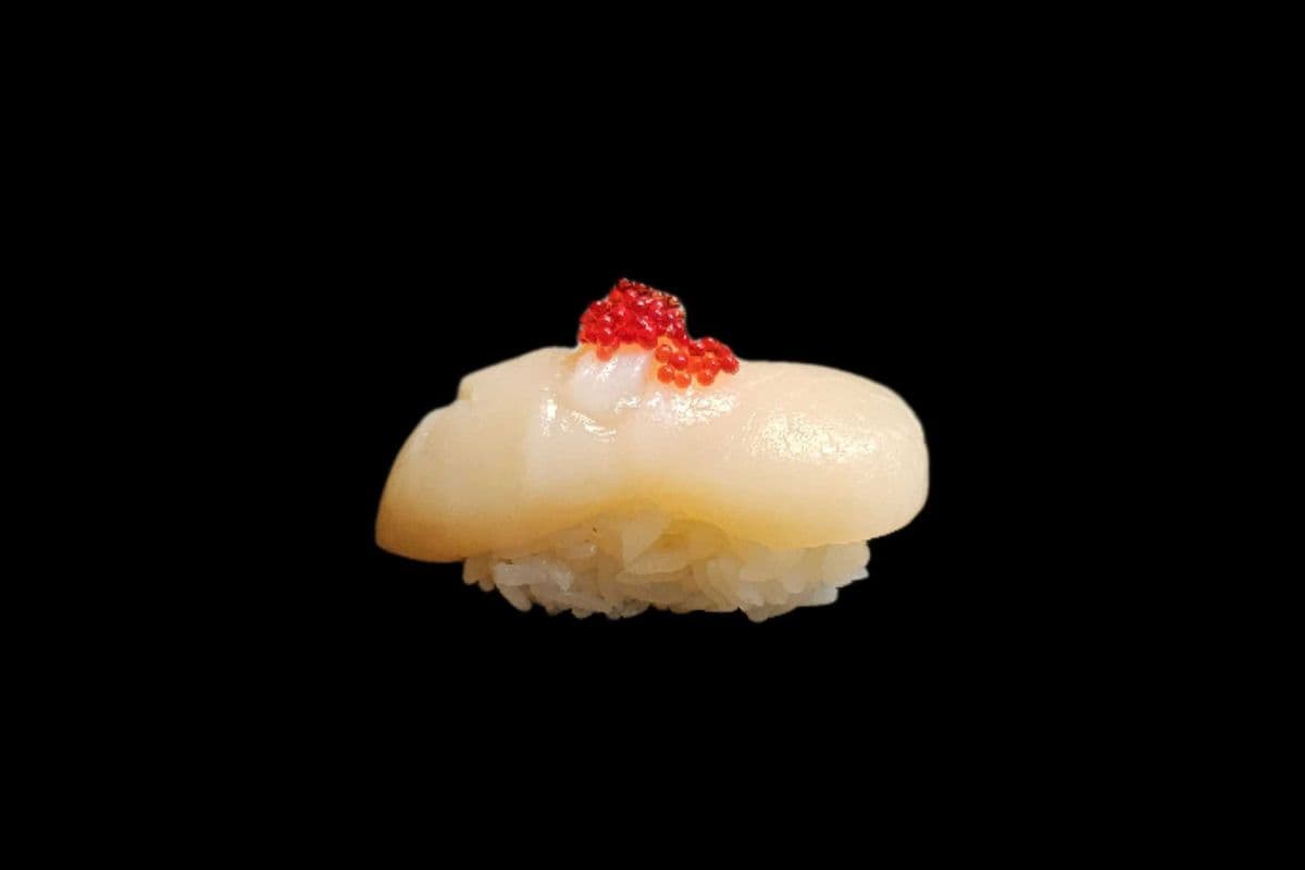 Hotategai Nigiri(1pc)