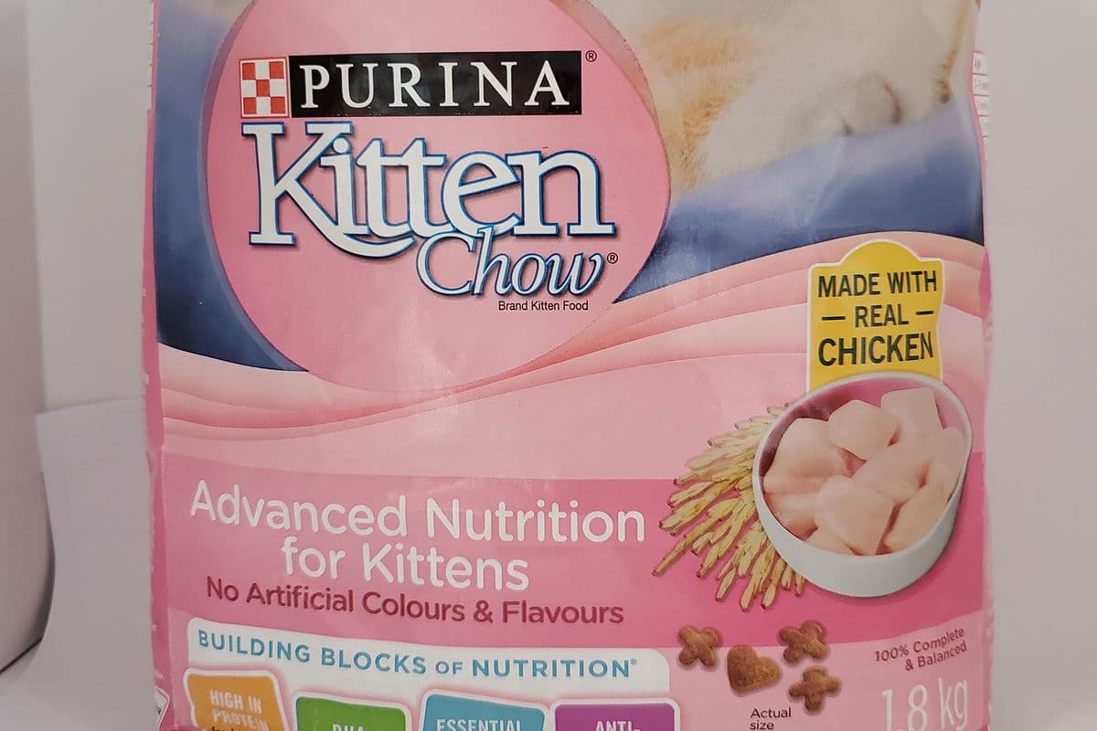 Purina Kitten And Cat Food