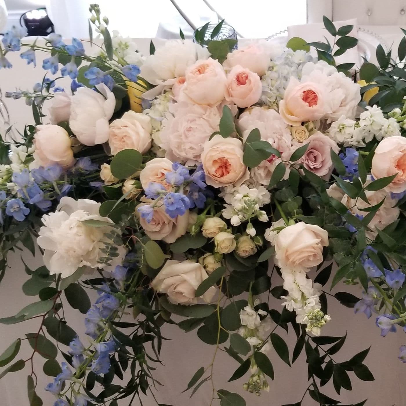 Beyond Flowers
