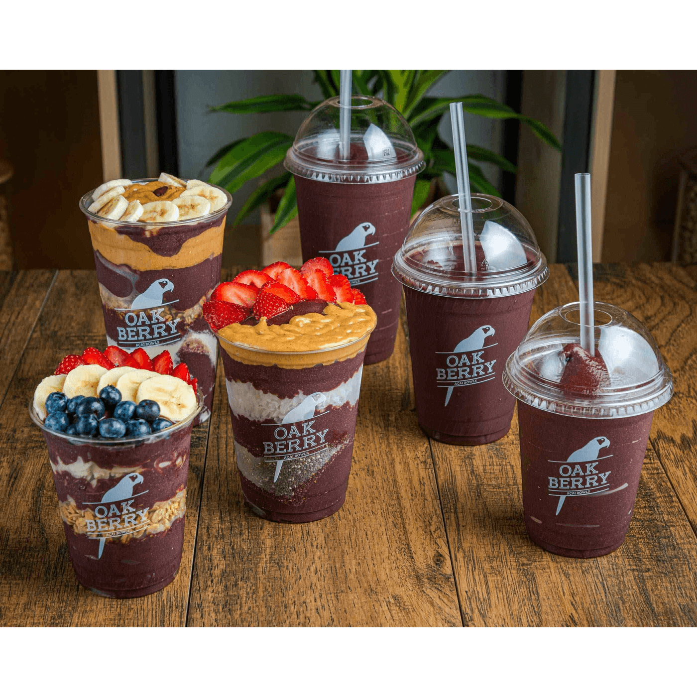 Oakberry Acai Bowls & Smoothies