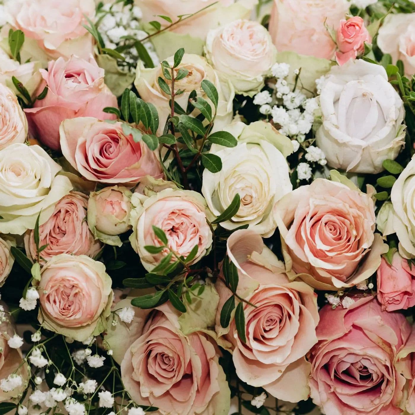 Roy's Florist