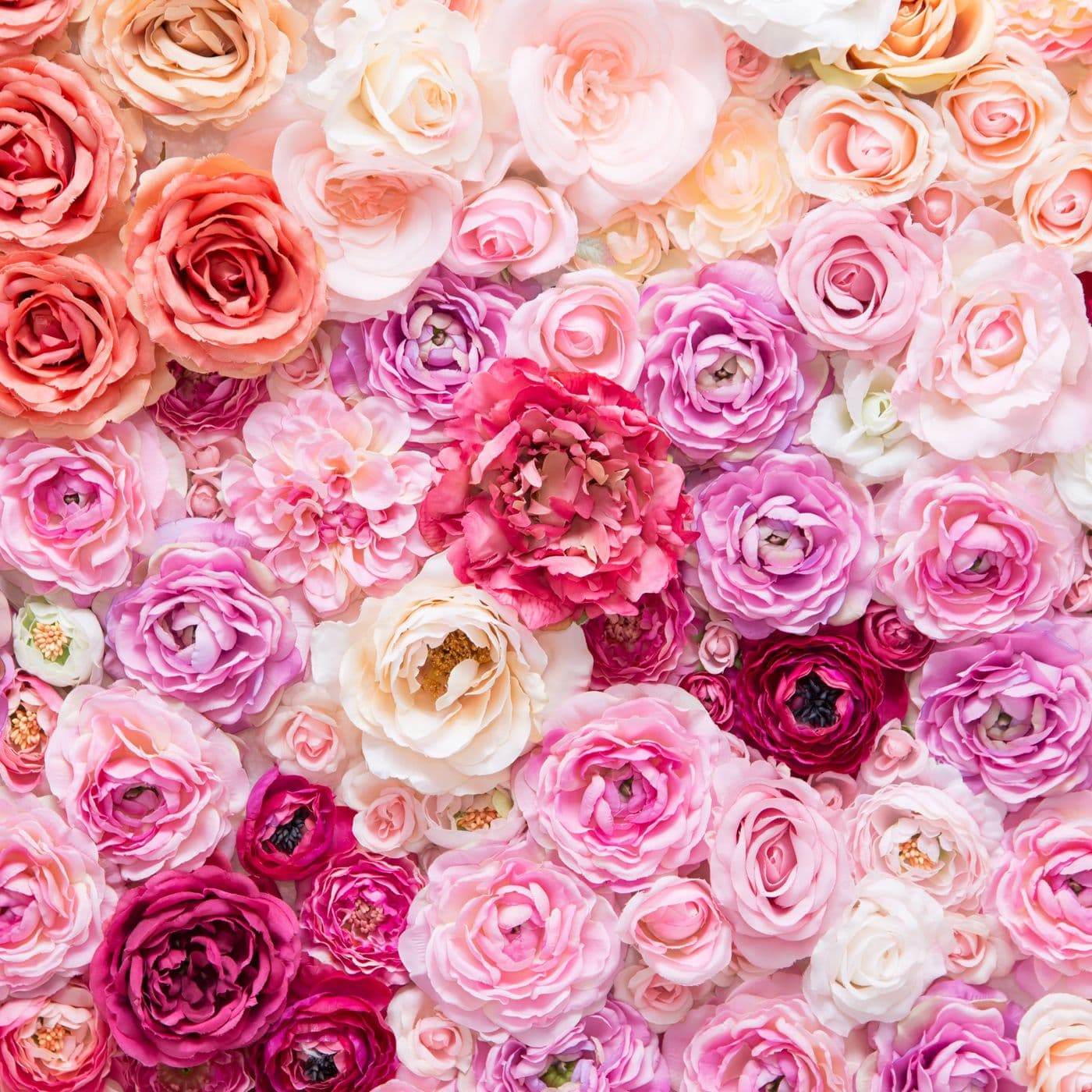 24 Send Flowers