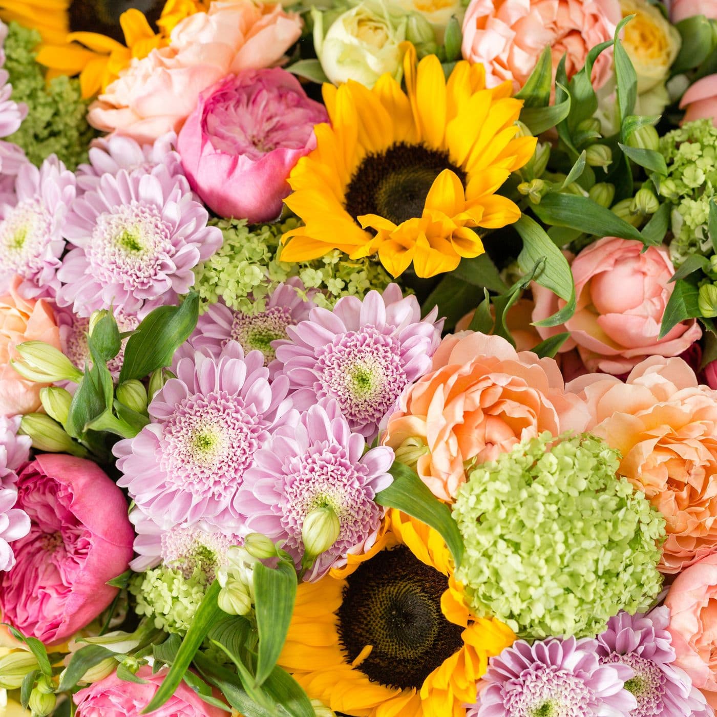 Fleuriste Carmine Inc