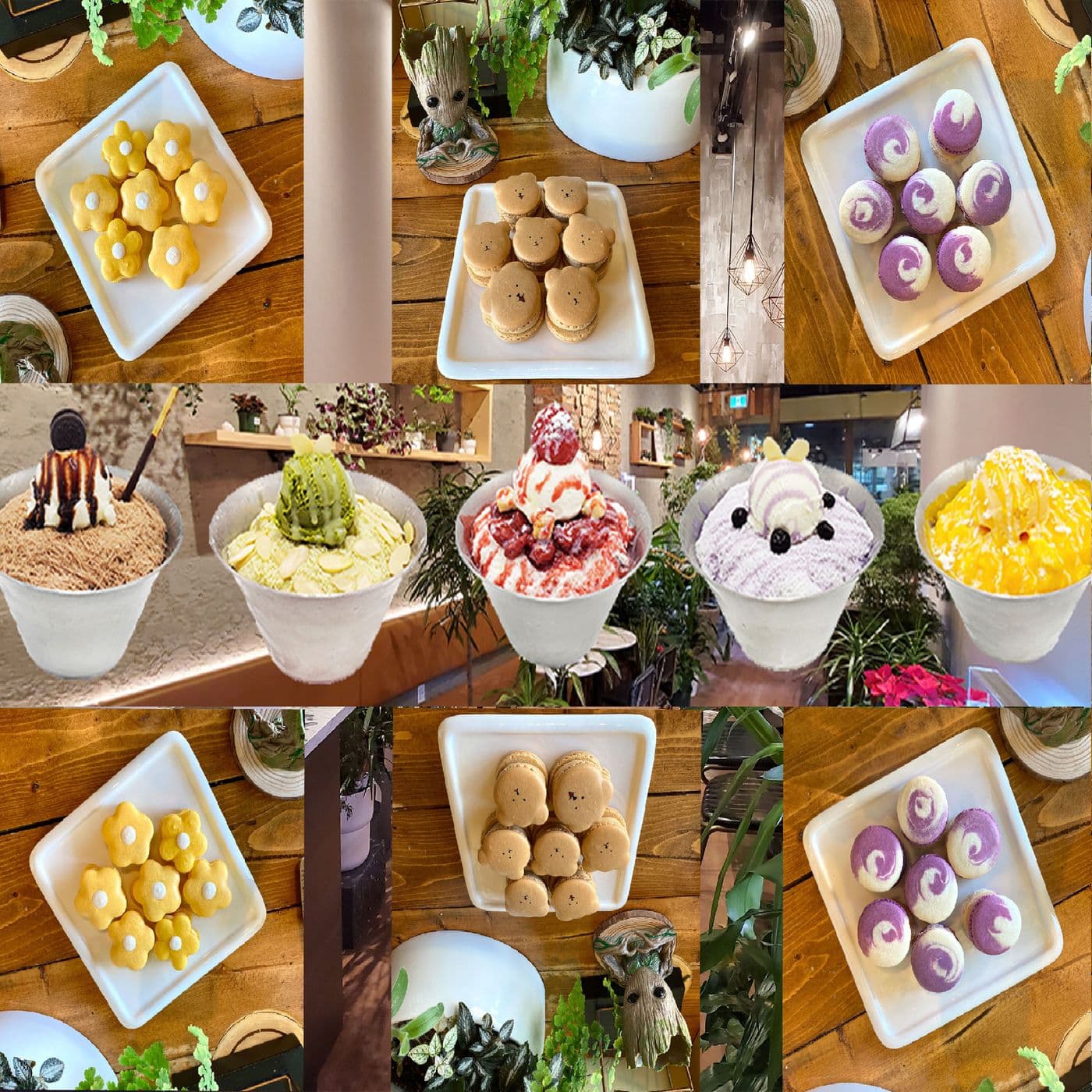 Urban Plant Cafe- DNU