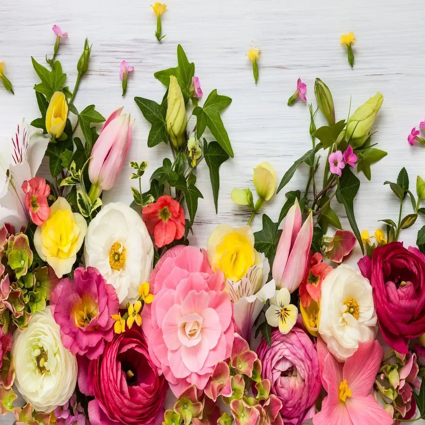 Petals Flowers & Gifts
