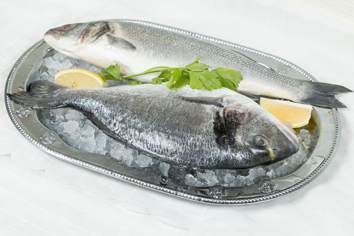 4. Euro Bass (1 lb)
