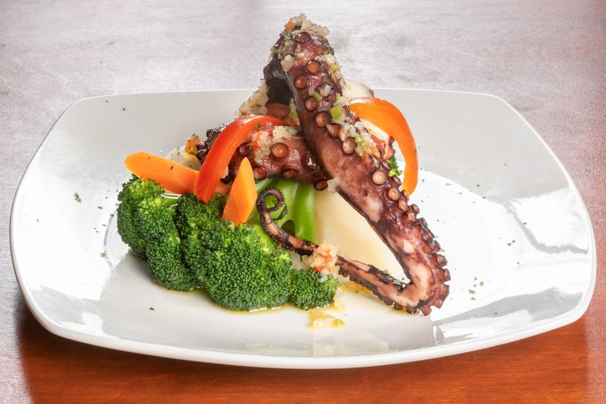 Pieuvre grillée / Grilled Octopus