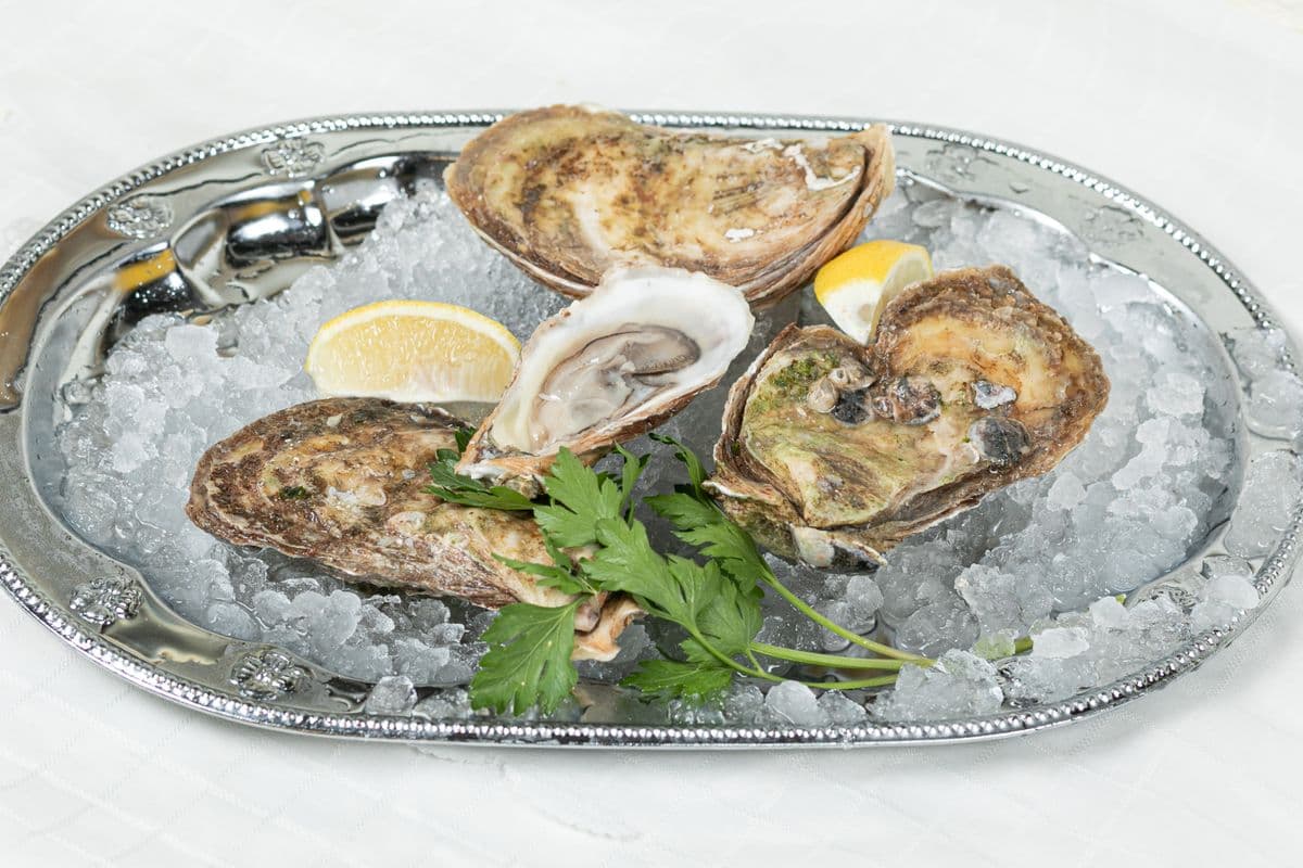 9. Shocked Oysters P.E.I. (1 pc)