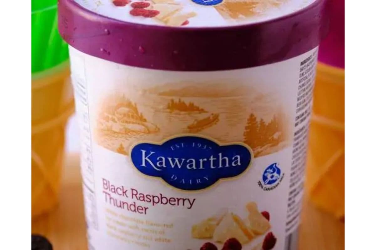 Kawartha Dairy - Black Raspberry Thunder - 1.5L Tub
