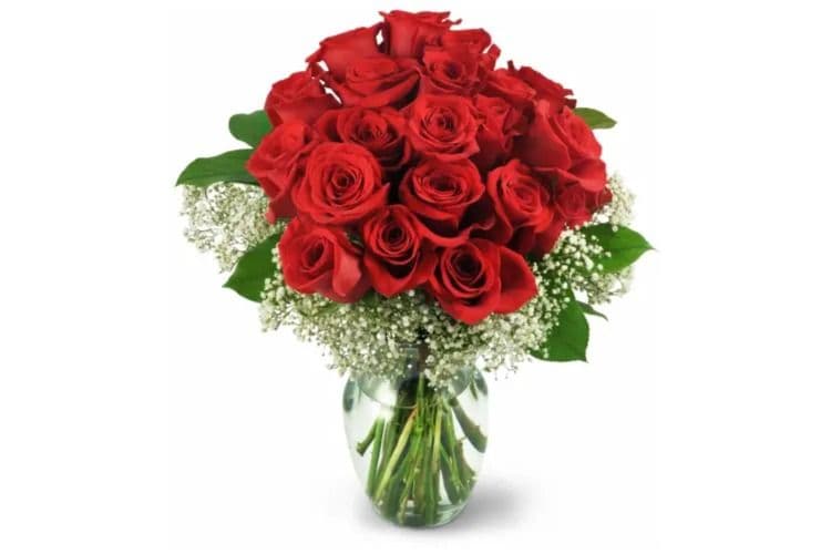 Two Dozen Red Roses Deluxe