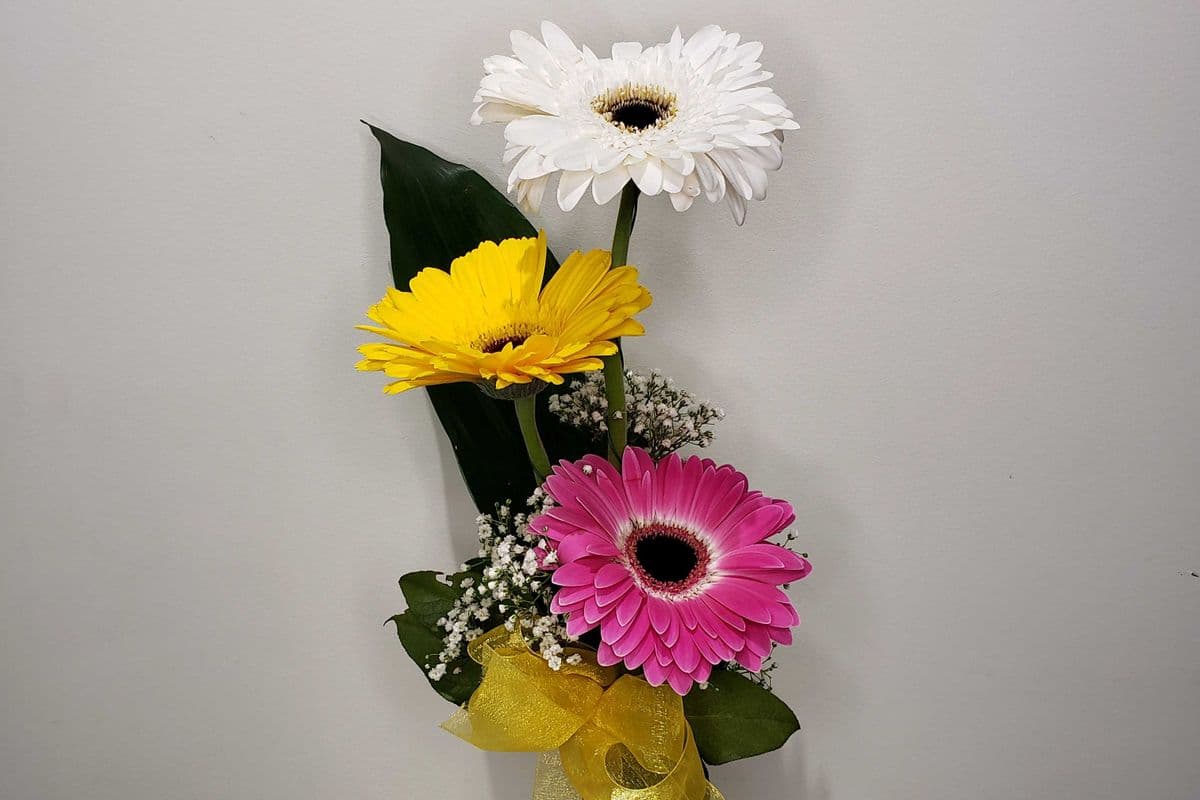 Day Dream Gerbera Vase