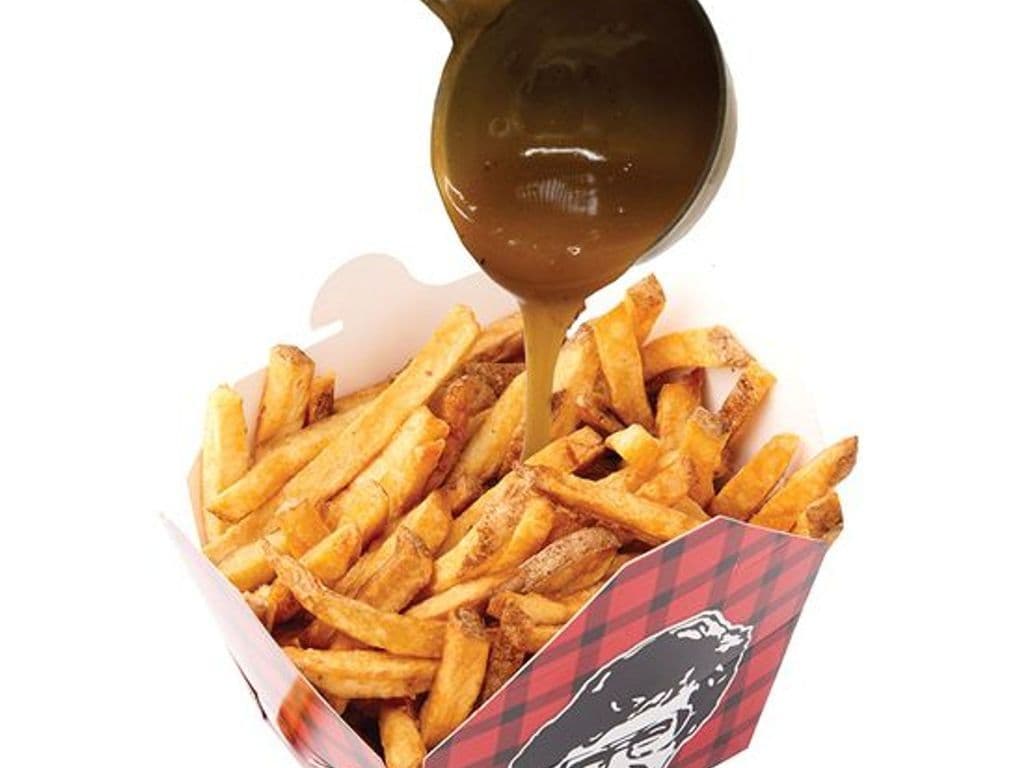 Fries and Gravy Combo