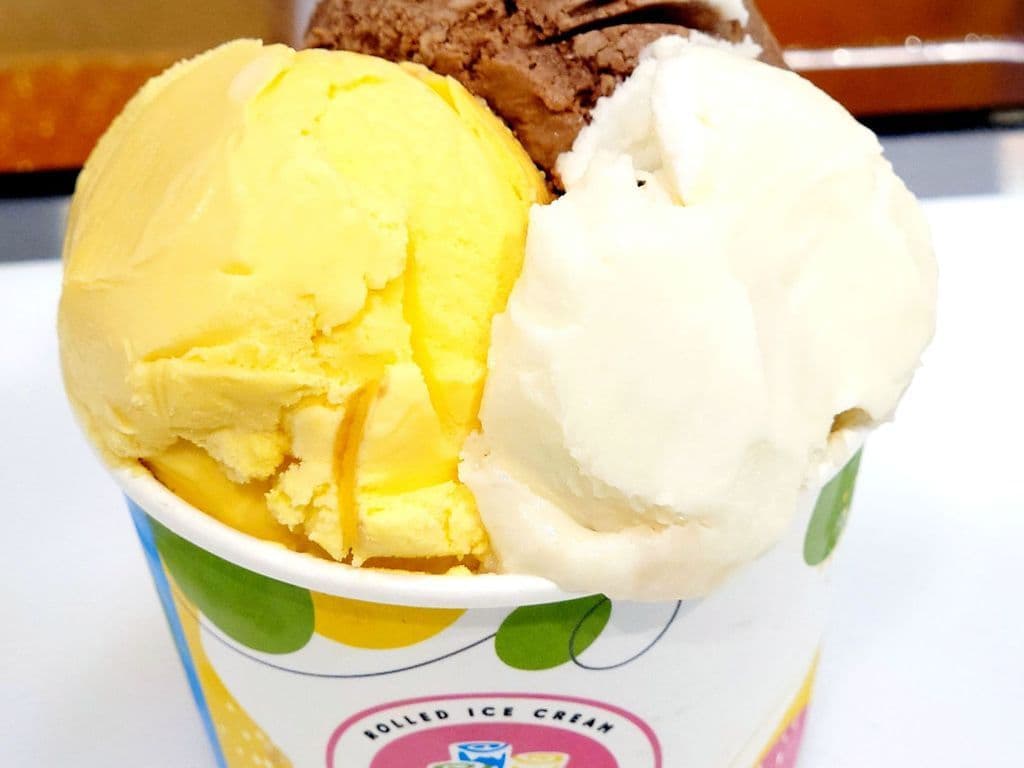 Tasting Cup (3 Scoop)