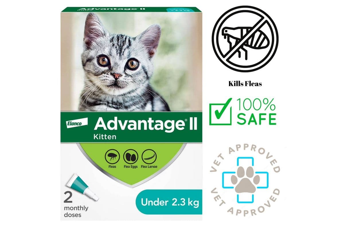 Advantage II - Flea & Tick Medicine - Kittens (2.3 Kg)