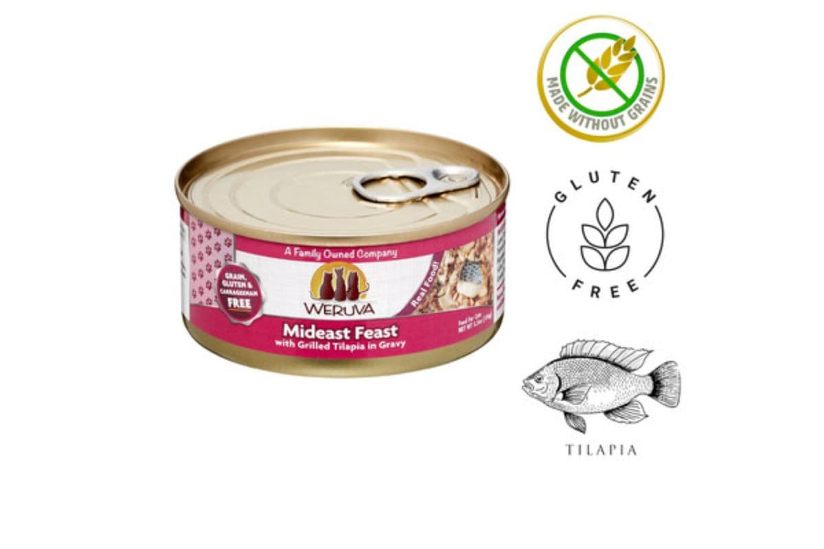 Weruva Mideast Feast Canned Cat Food (3 oz)