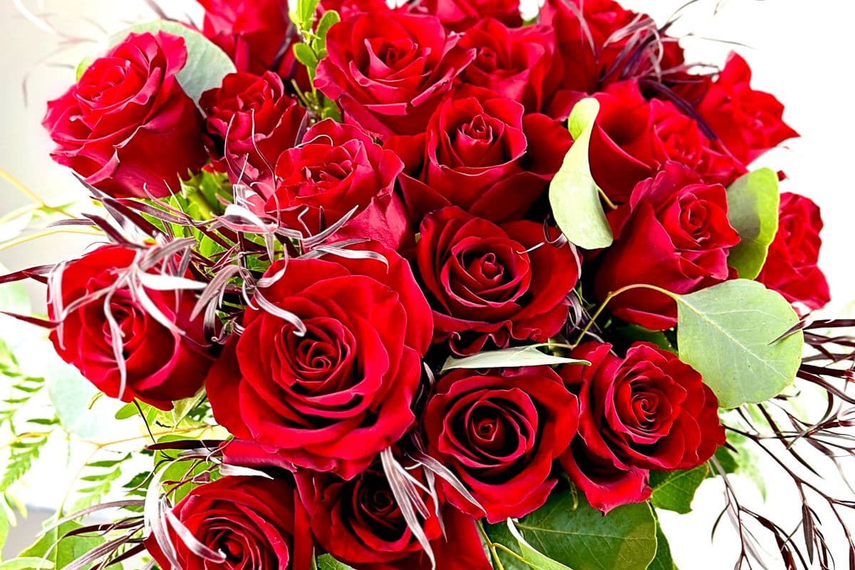 Half-Dozen Red Premium Long Stem Roses