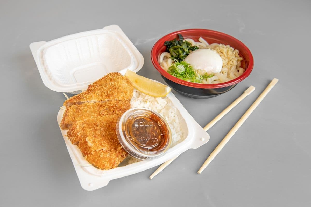 Tonkatsu Bento and Udon