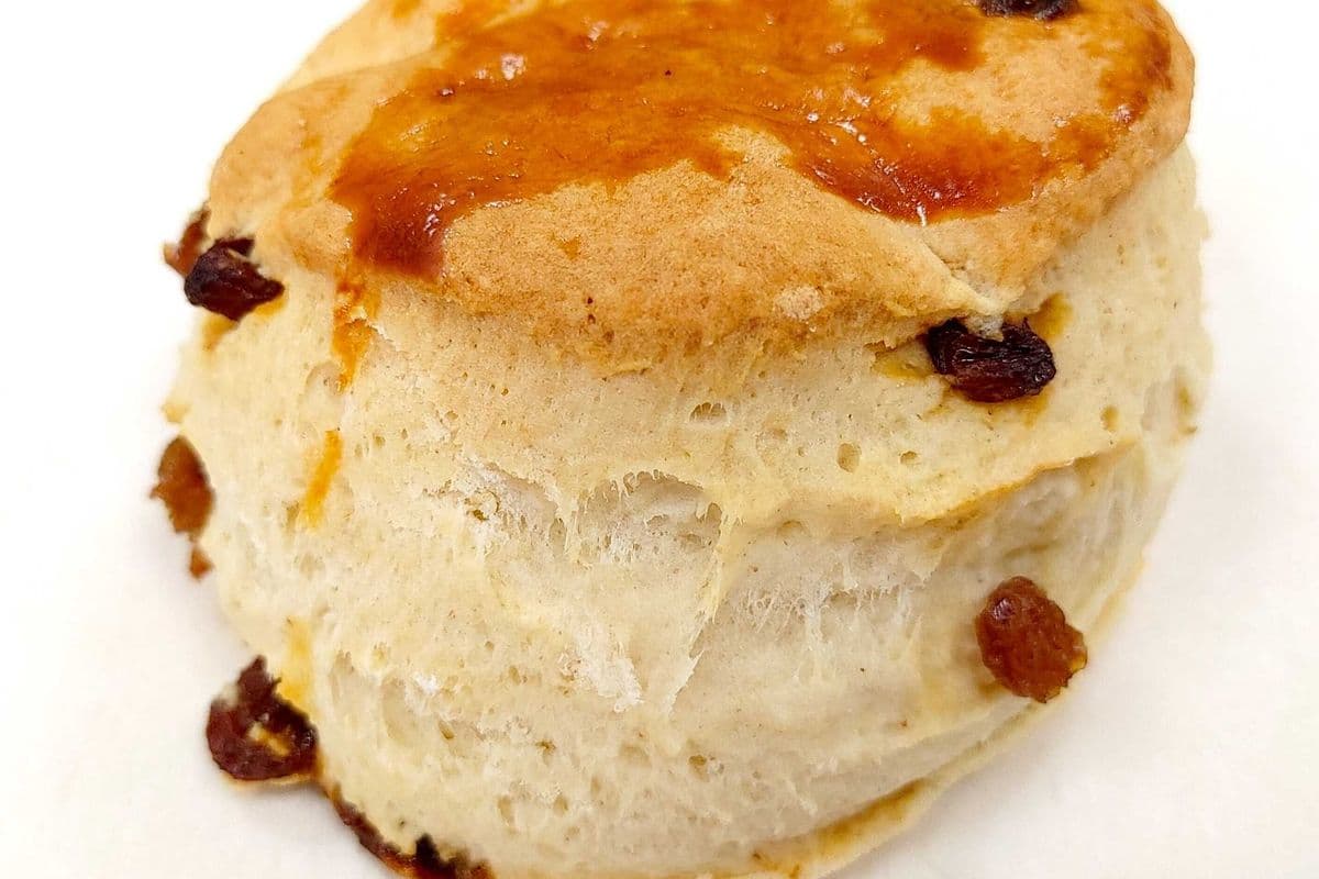 Scone - Raisin