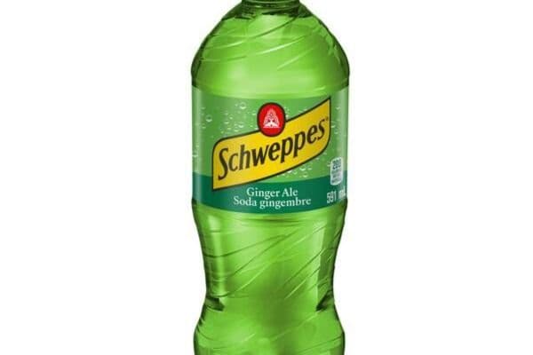 Ginger Ale (591 ml, Bottle) (591ml)