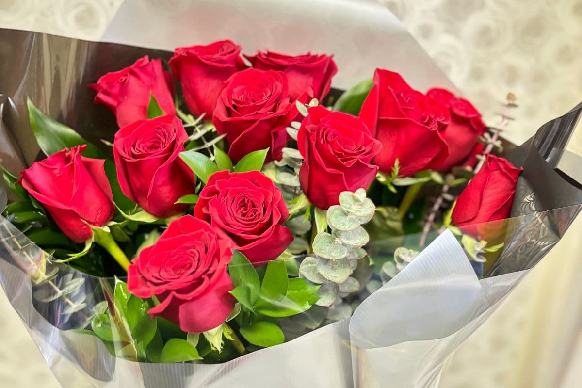 Long Stems Red Rose (1 Dozen)