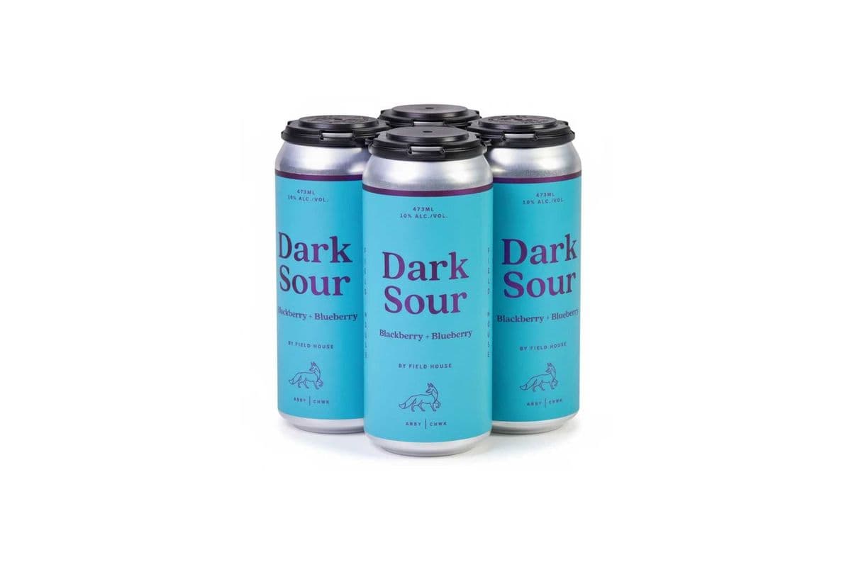 Fieldhouse Dark Sour (4 Cans) (4 x 473ML)