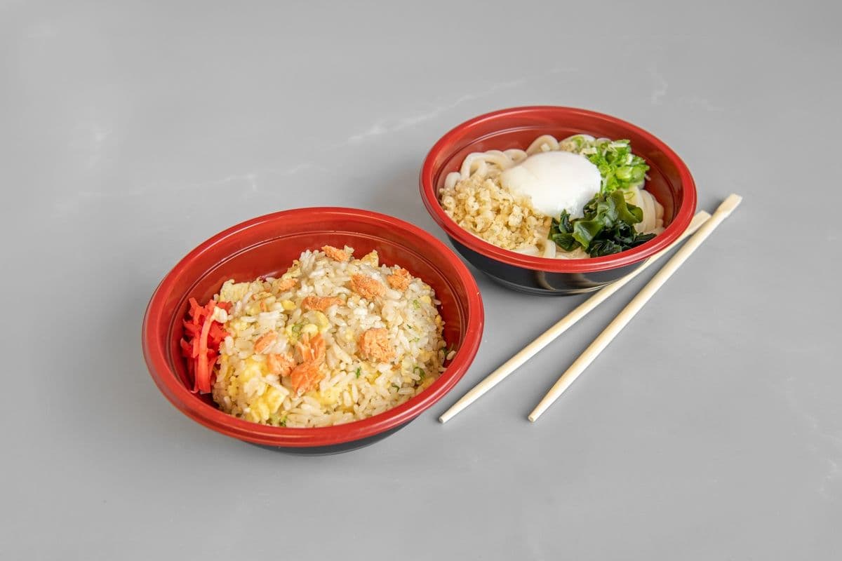 Salmon Cha-Han and Udon