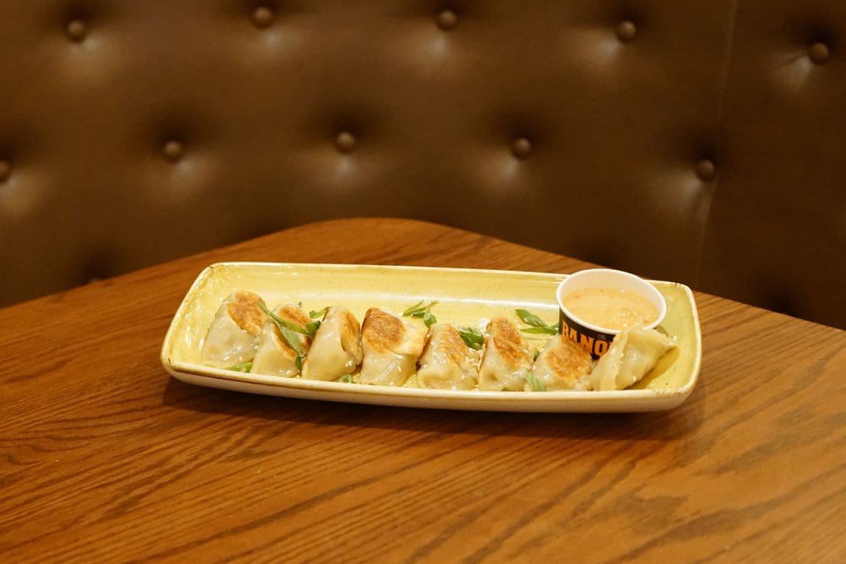 Chicken & Vegetable Gyoza