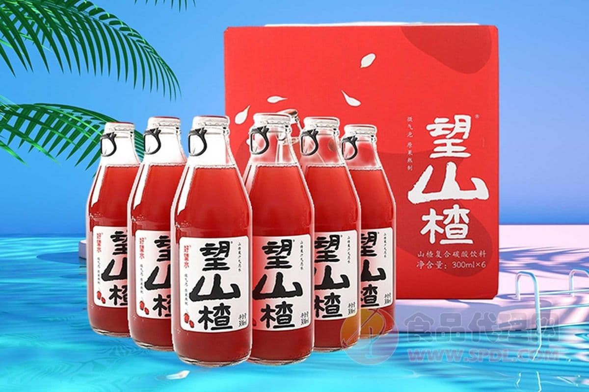 Hawthorn Berry Juice 望山楂 (300 ml)