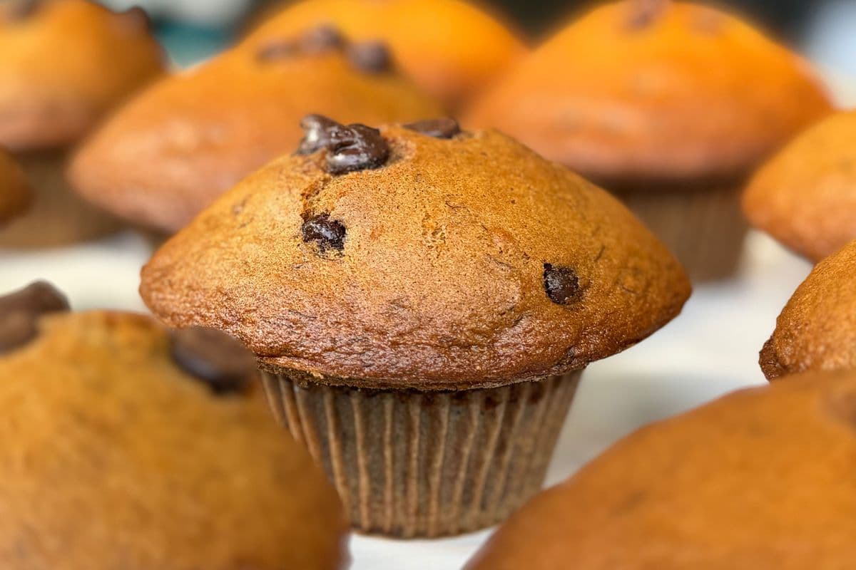 Muffins