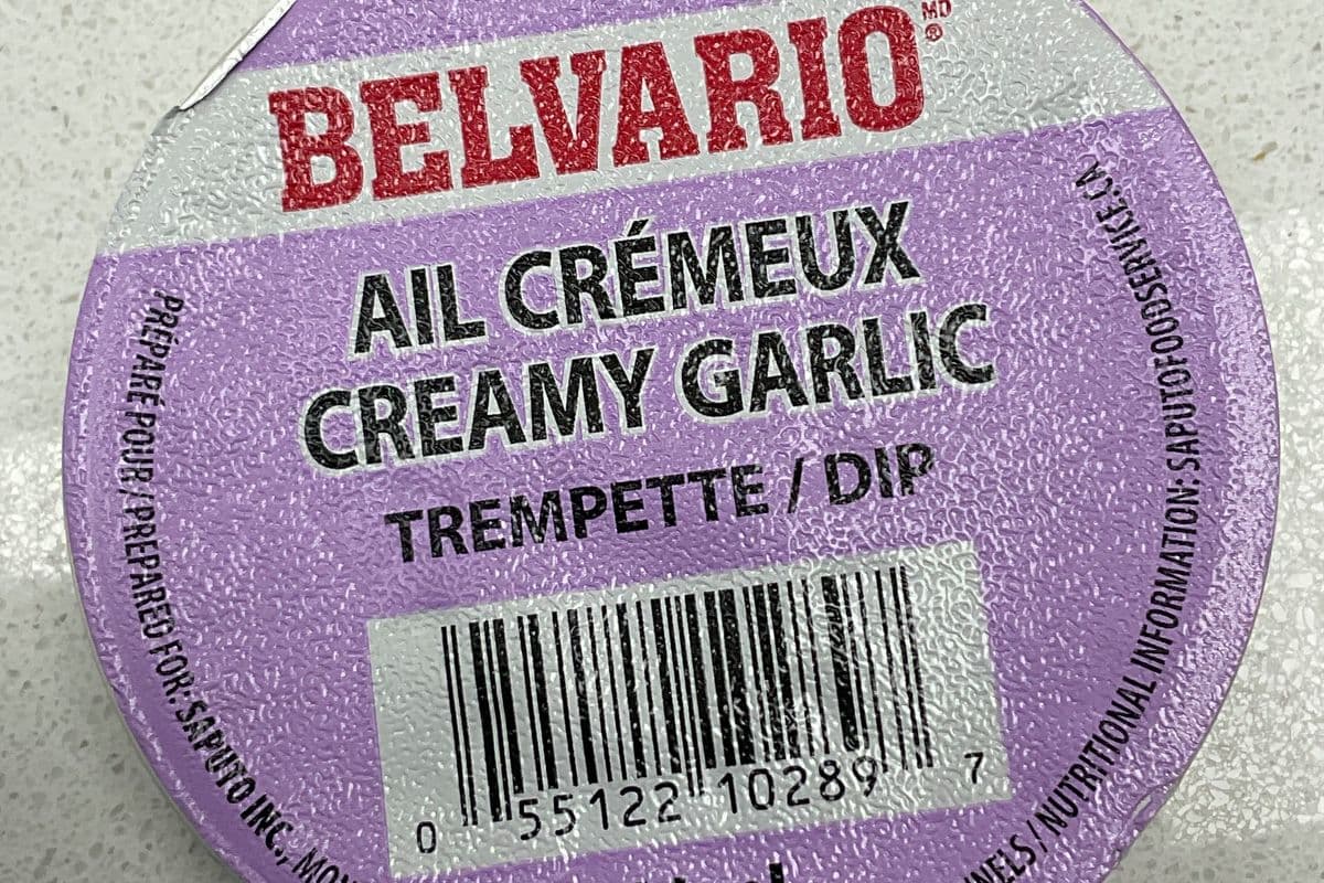 Creamy Garlic Dip
