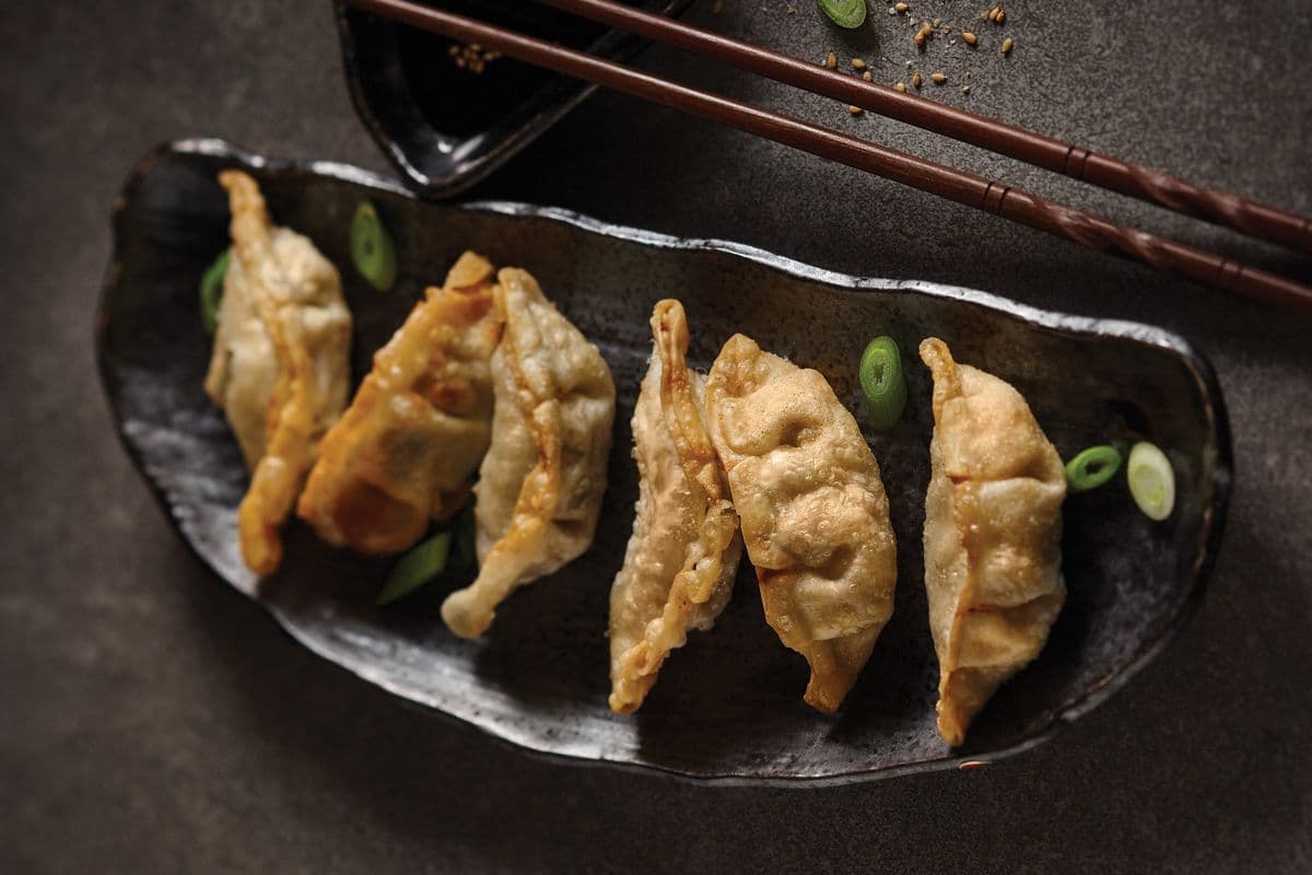 2. Chicken Dumplings