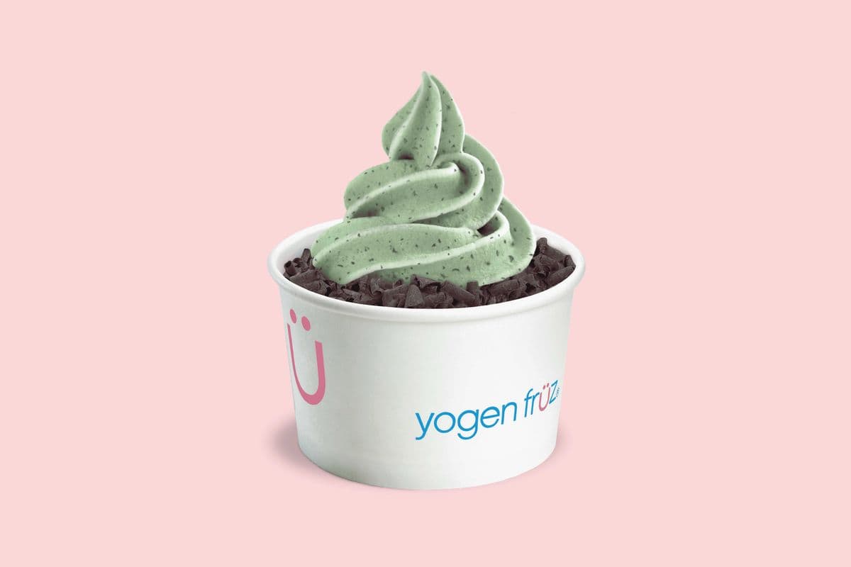 Mint Chocolate Chip Sensation