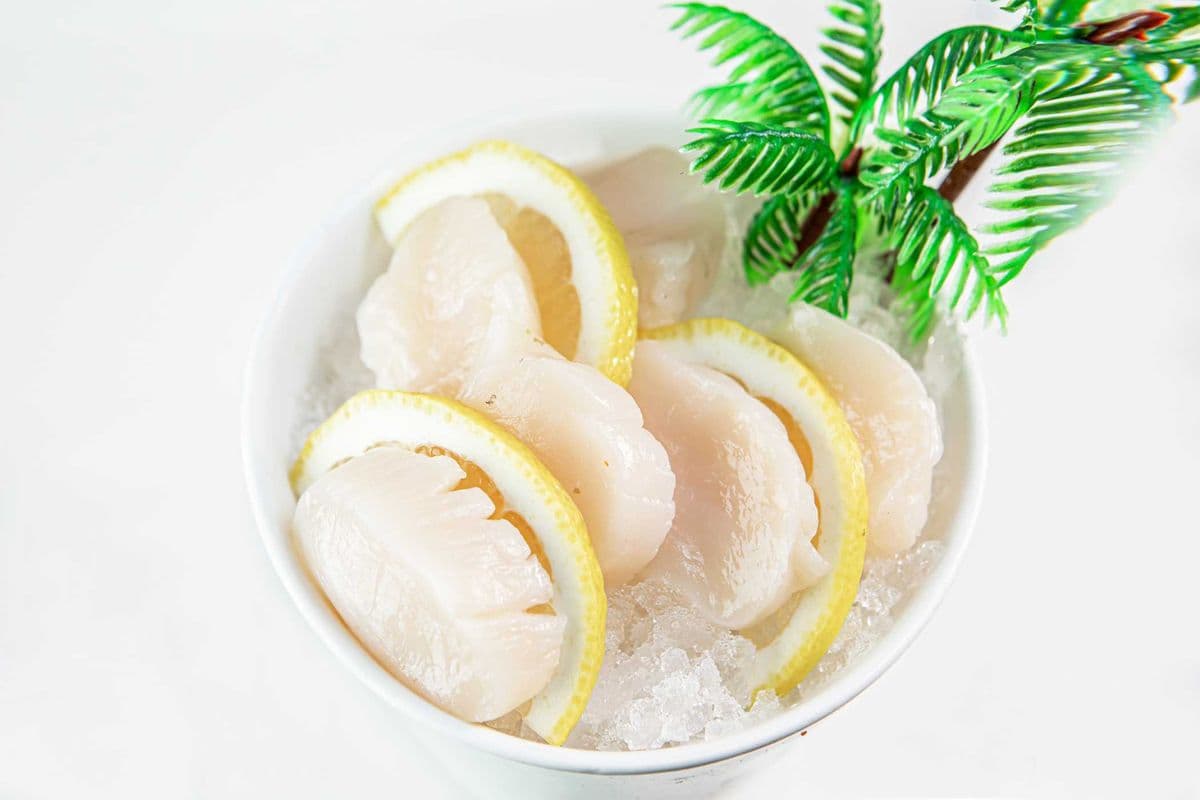 Scallop (Hotate) Sashimi (3 pcs)