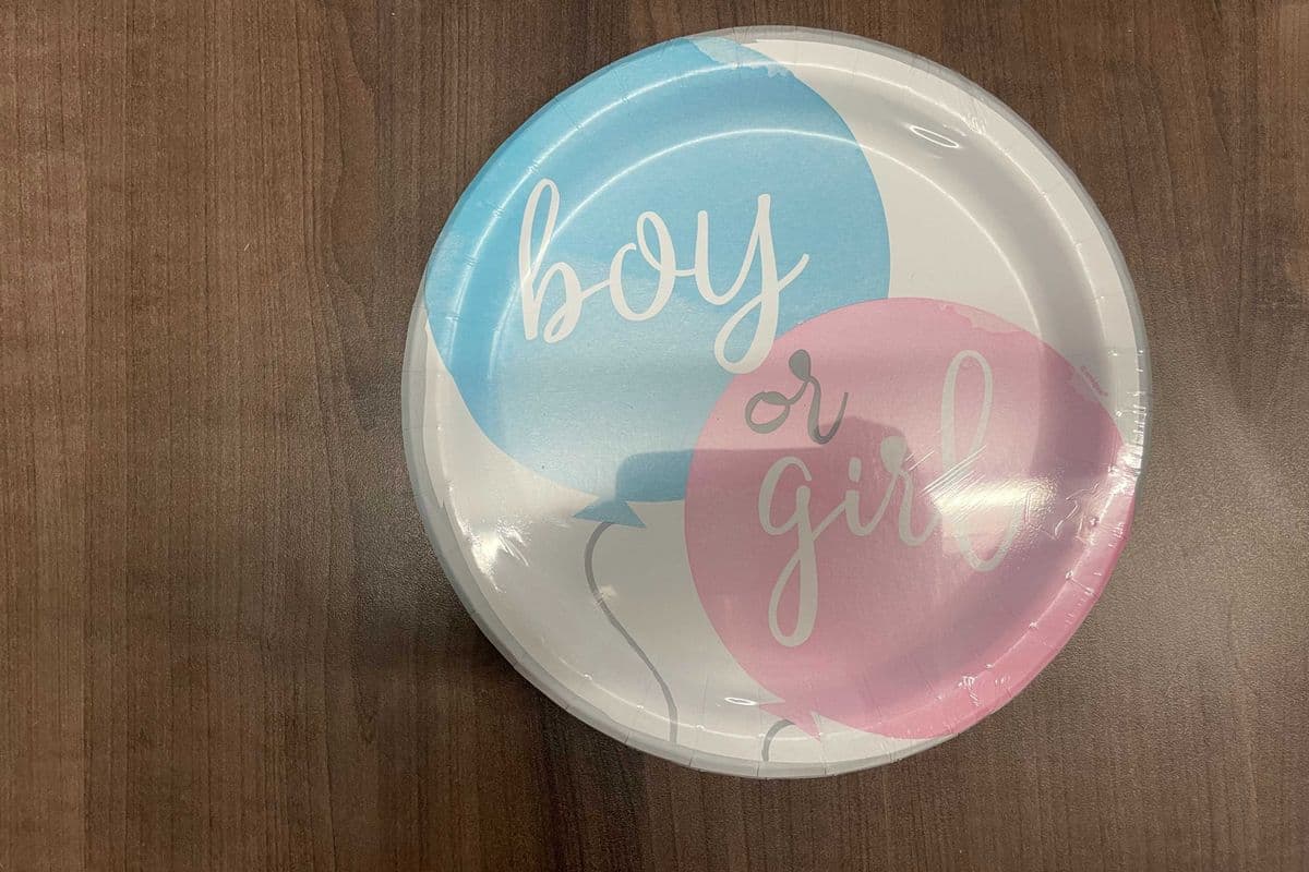 Gender Reveal 9" Plates 8pk