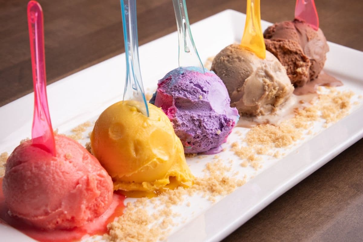 Gelato Single Scoop