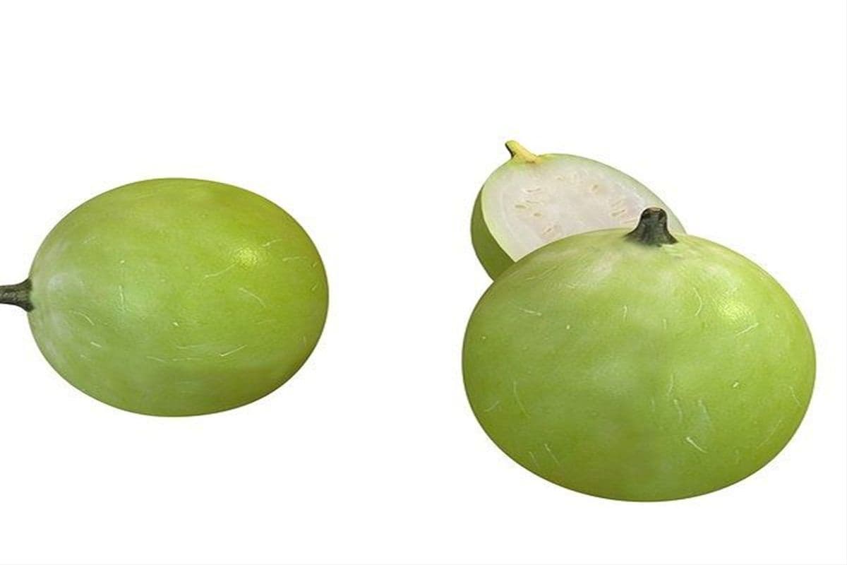 Tinda (Baby Pumpkin) (1lb)
