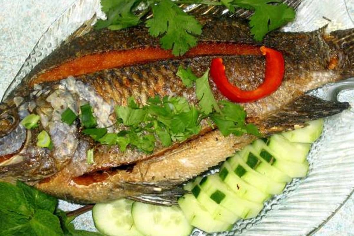 Poisson Tilapia Frit / Fried Fish Tilapia